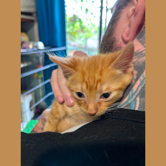 Photo of Zeus 🛡️ 