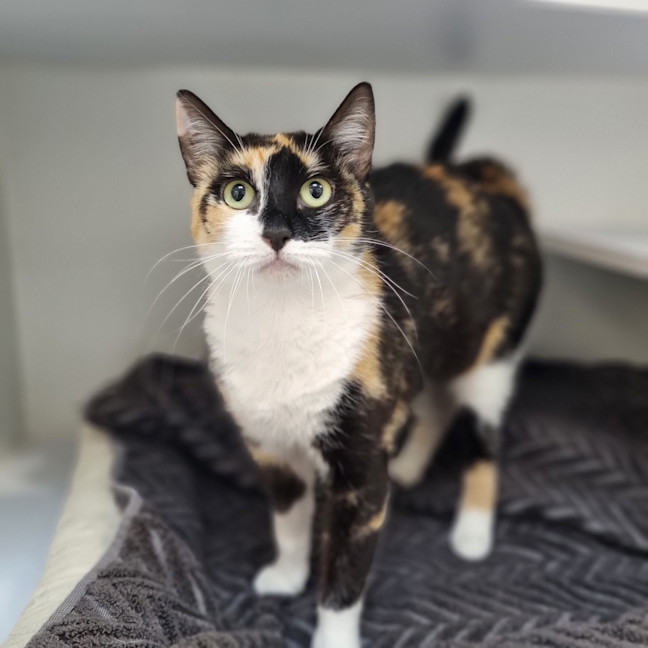Photo of Delilah