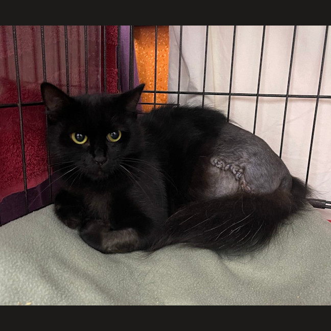 Photo of Prudence