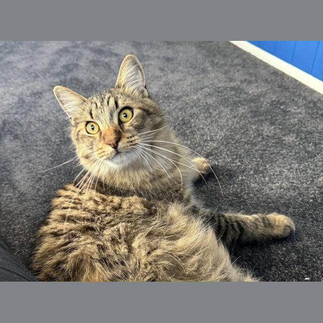 Photo of Timmy
