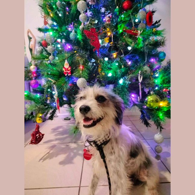 Photo of Missy Muddle