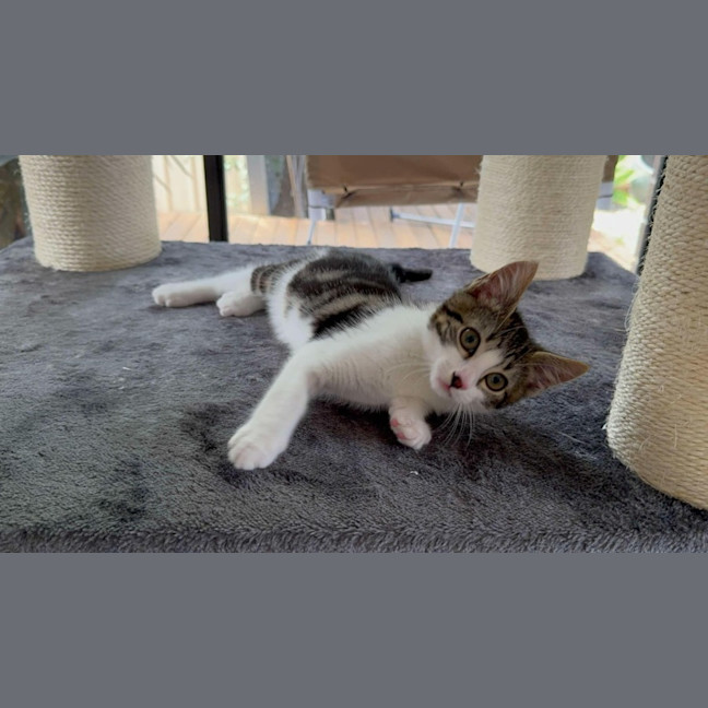 Photo of Hamish