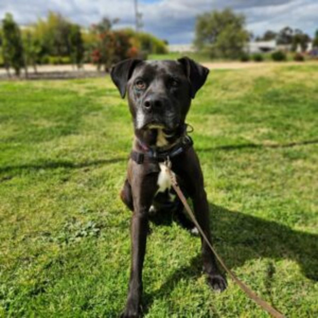 Photo of Captain Chai