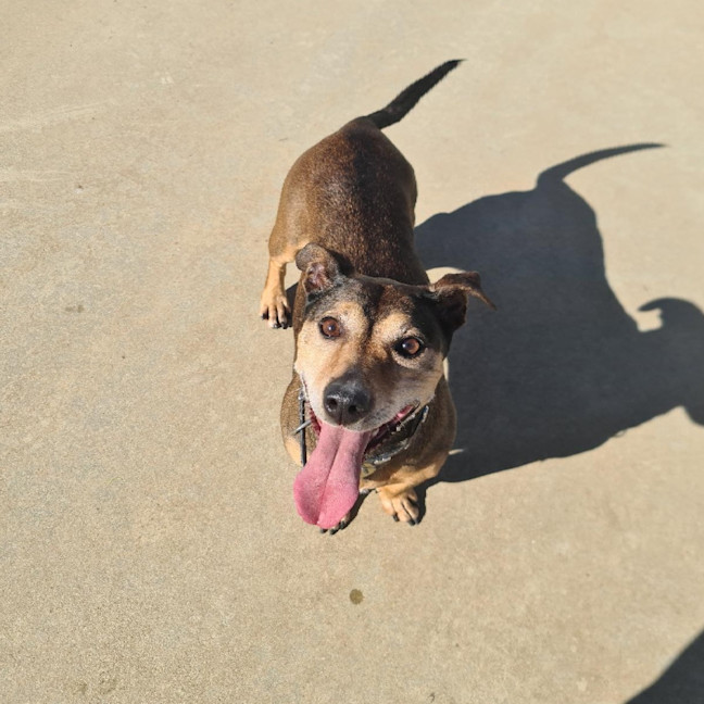 Photo of Roxy