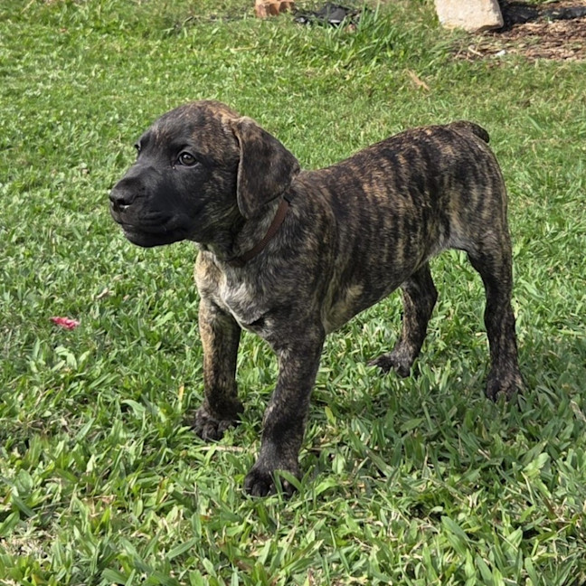 Photo of Percy