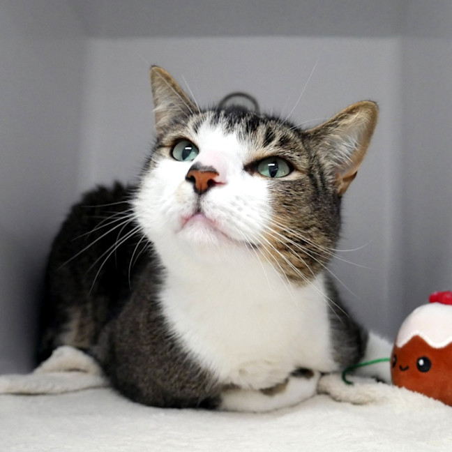 Photo of Reggie Rsta015260