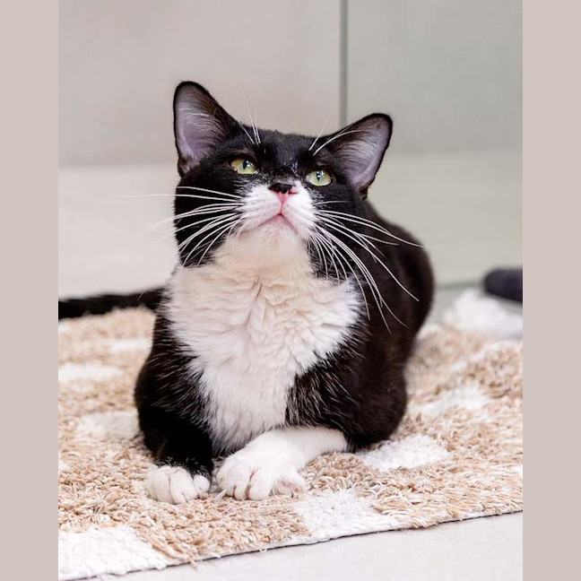 Photo of Phoenix
