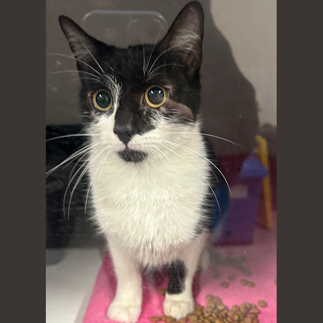 Photo of Maggie Walley