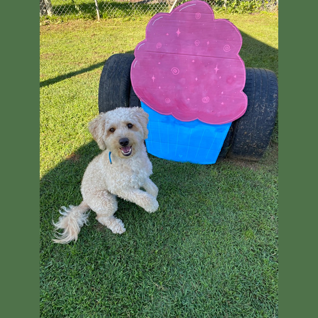 Photo of Bentley