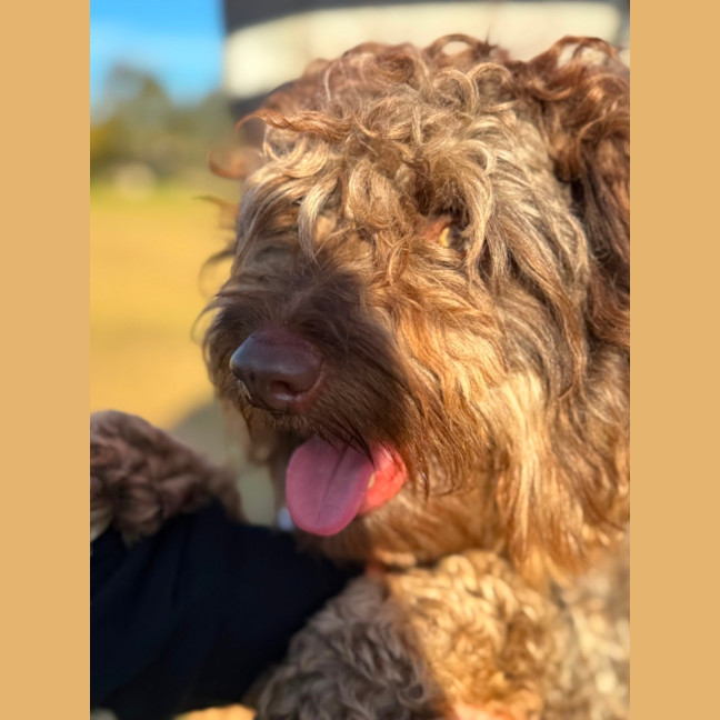 Photo of Jerry