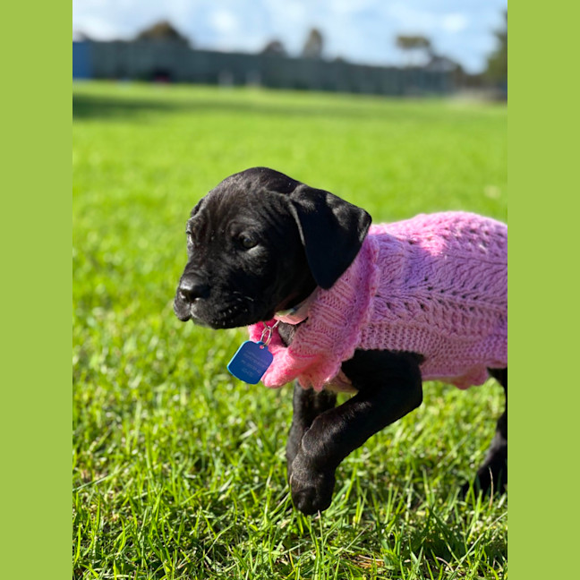 Photo of Bear 🐻