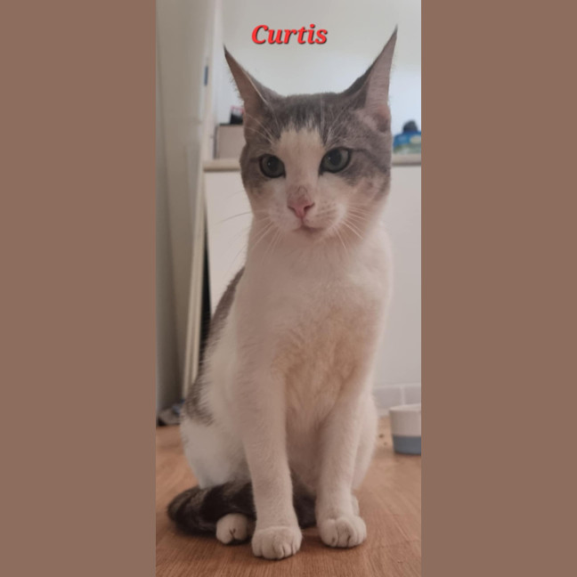 Photo of Curtis