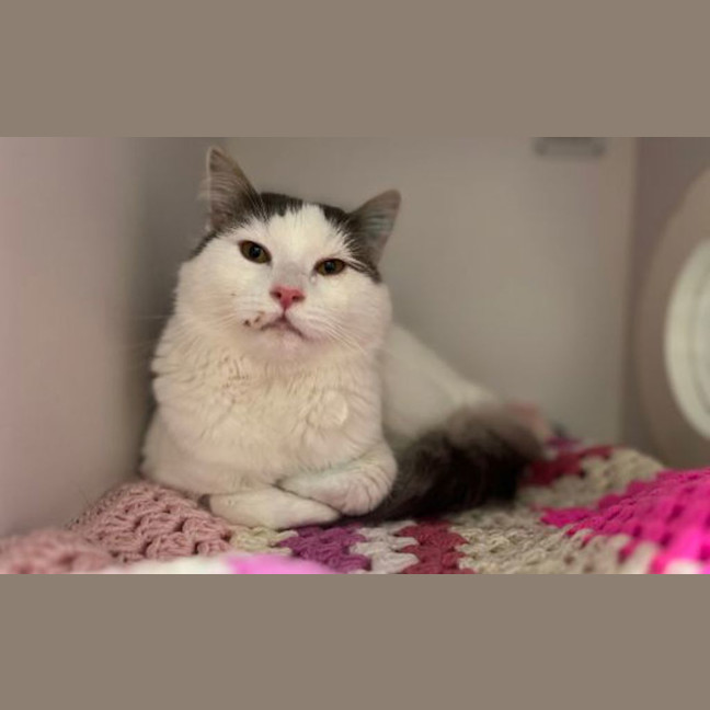 Photo of Philbert