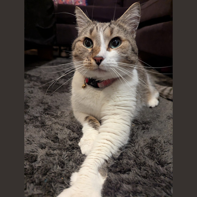 Photo of Kiara