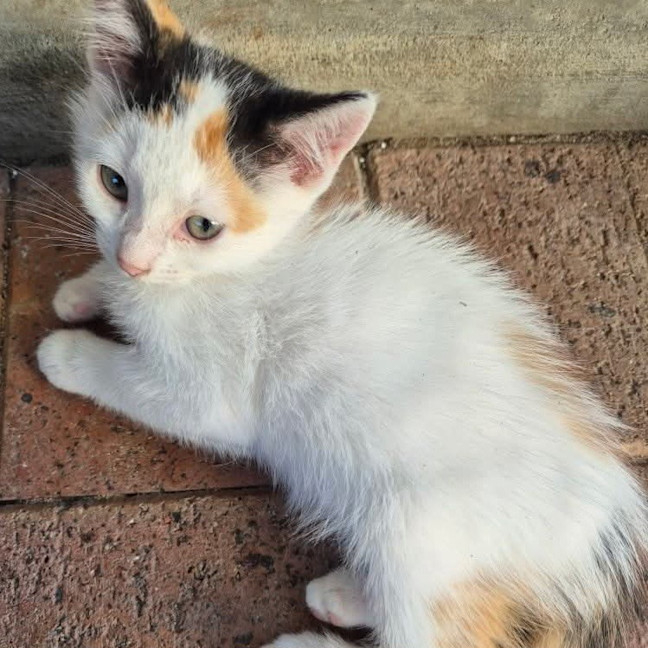 Photo of Ethel