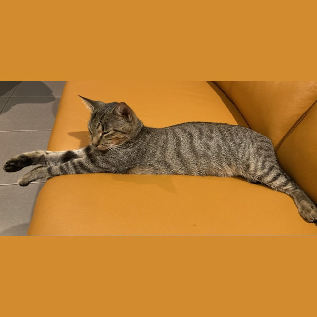 Photo of Freda