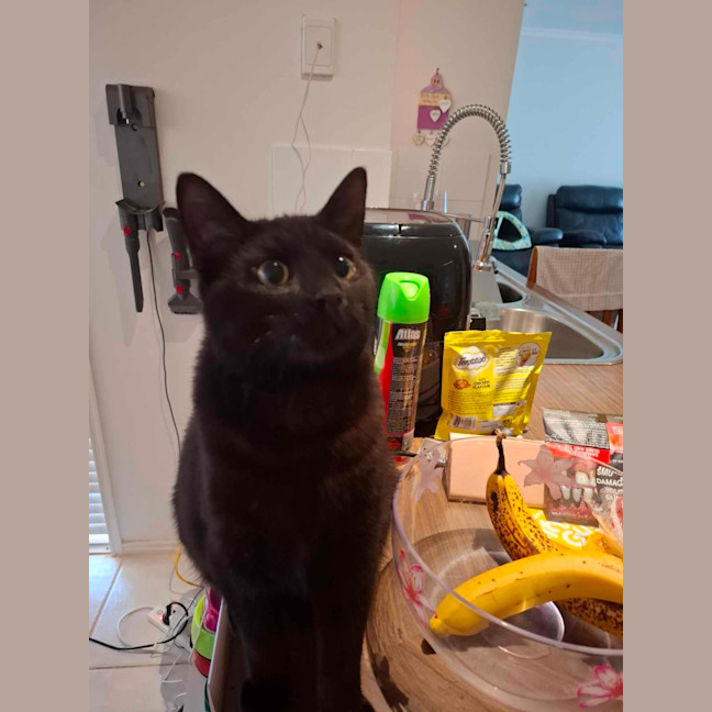 Photo of Terrence