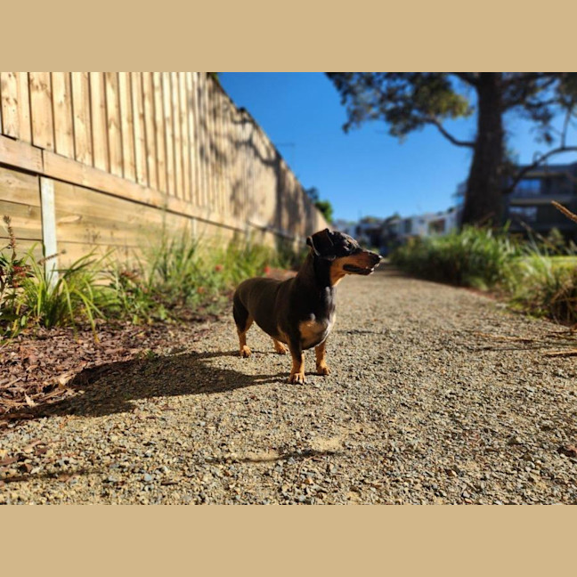 Photo of Pepe Cervantes