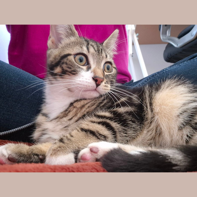 Photo of Max