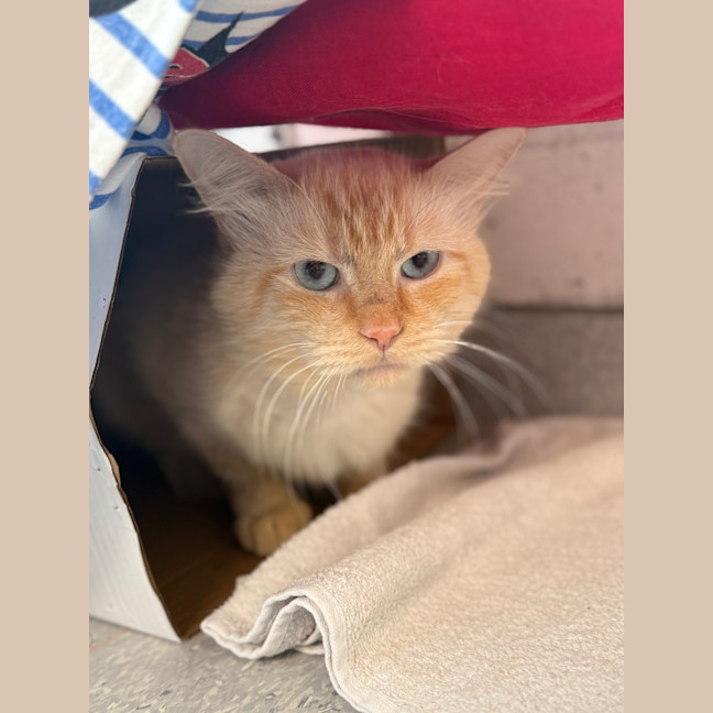 Photo of Sebastian