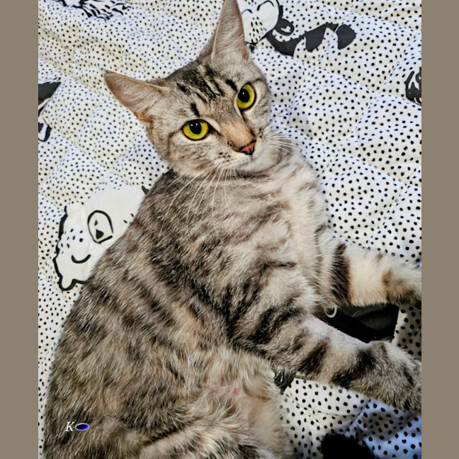 Photo of Tabitha