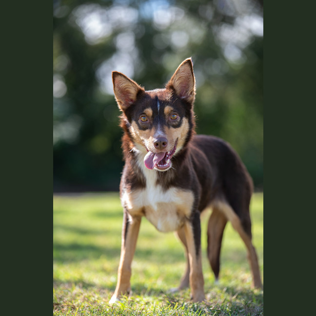 Photo of Ruby