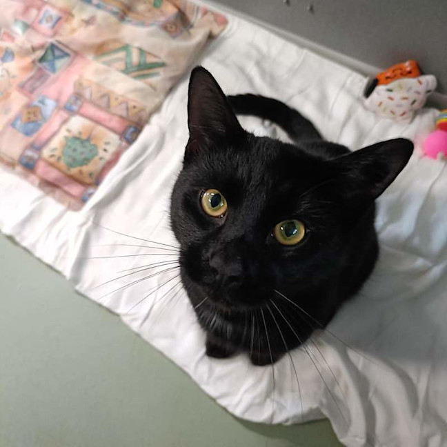 Photo of Louie