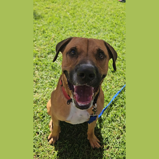 Photo of Taco