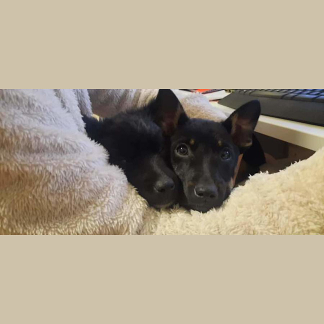 Photo of Storm