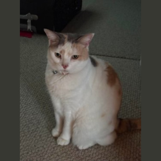 Photo of Millie