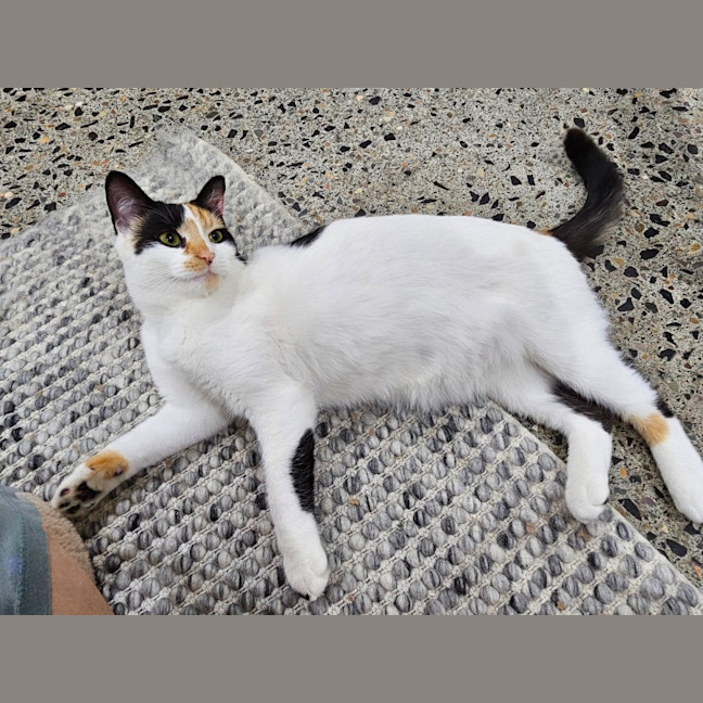 Photo of Mitzi