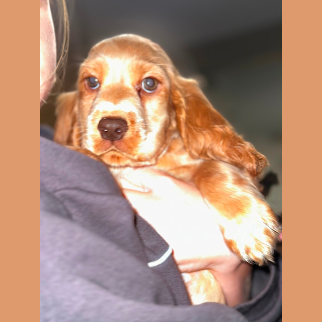 Photo of Prada