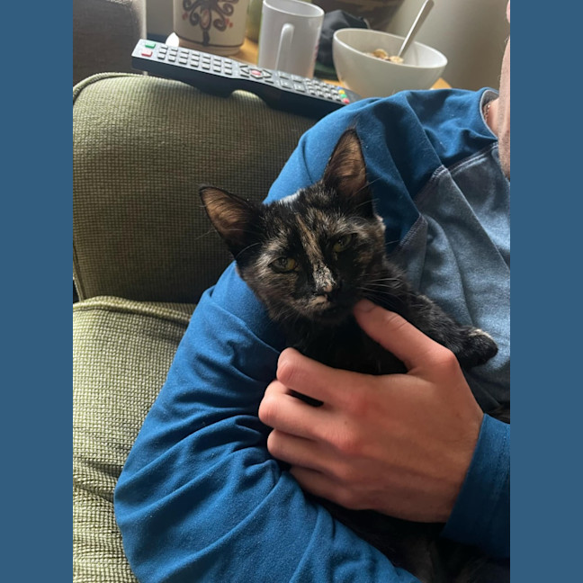 Photo of Sweet Pea   Located In Northcote