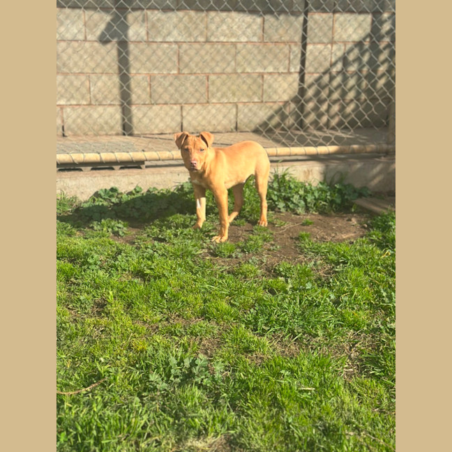 Photo of Benny