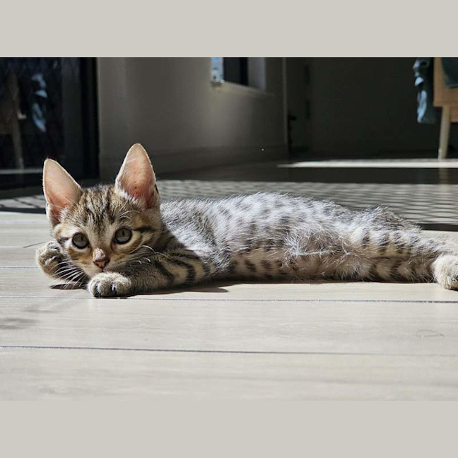 Photo of June