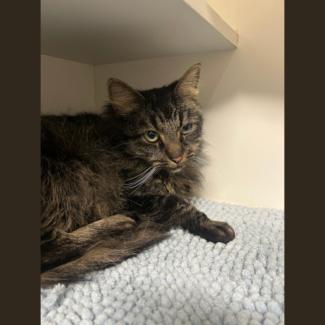 Photo of Bonnie