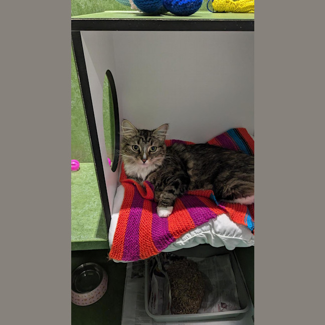 Photo of Helga