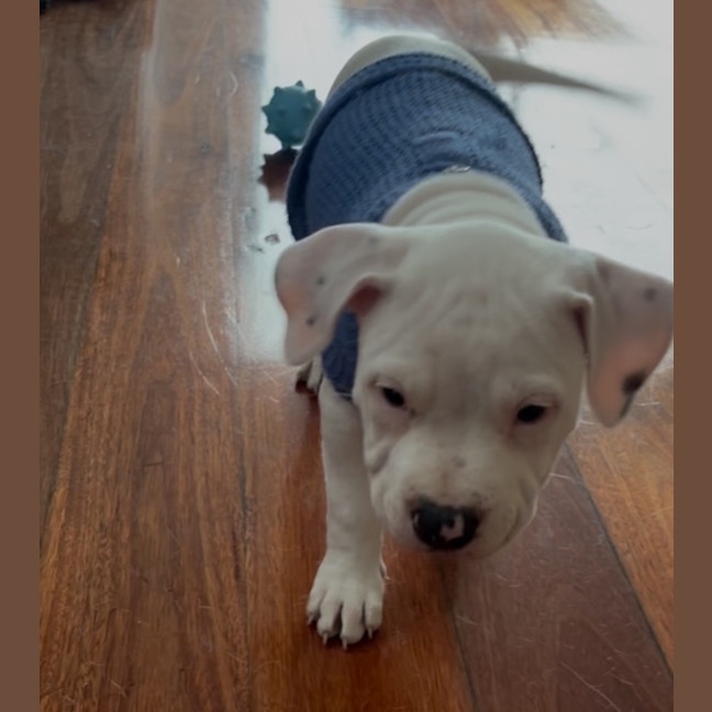 Photo of Cash