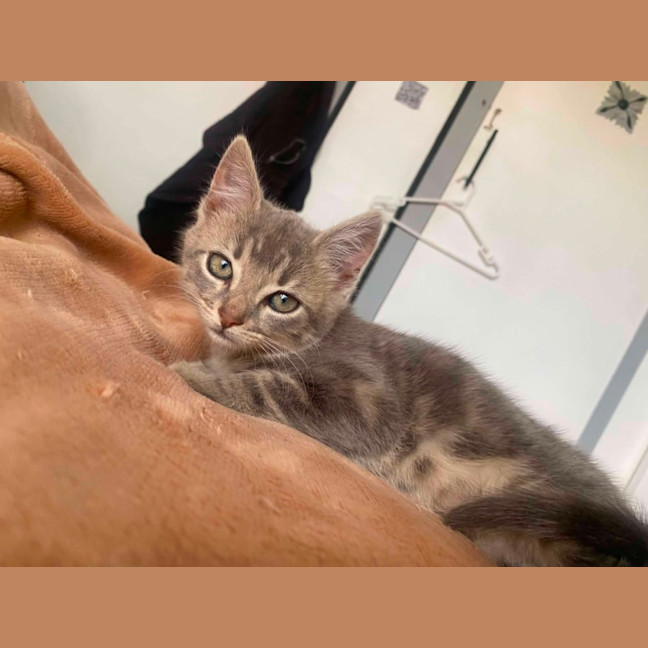 Photo of Tilly