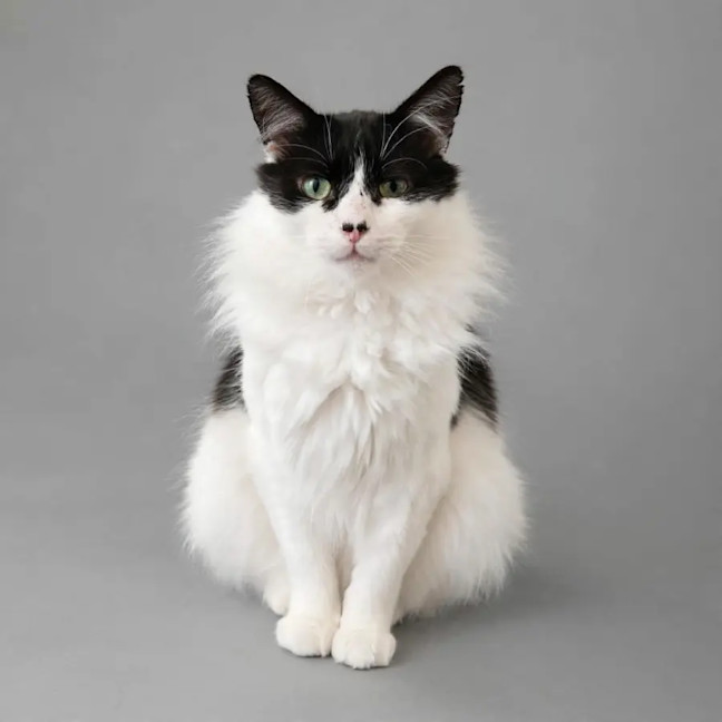 Photo of Charlie 