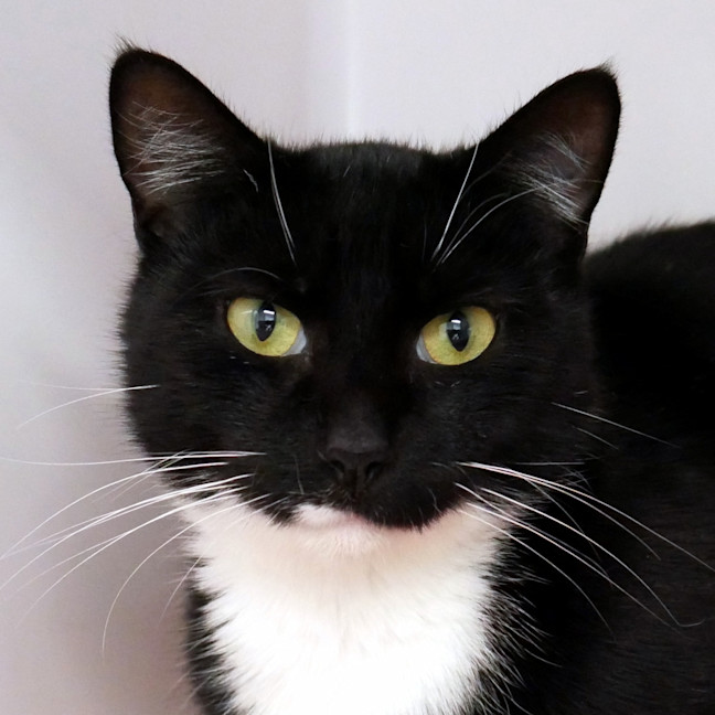 Photo of Cleo Sta012855