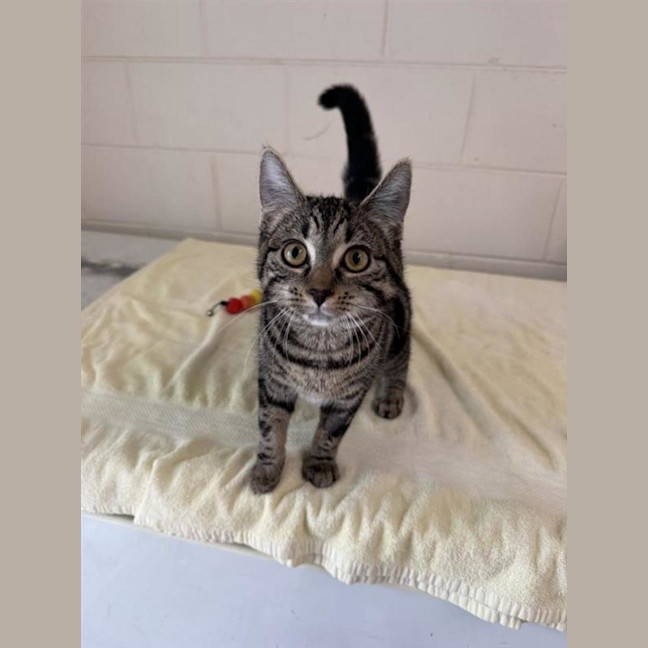 Photo of Bonita