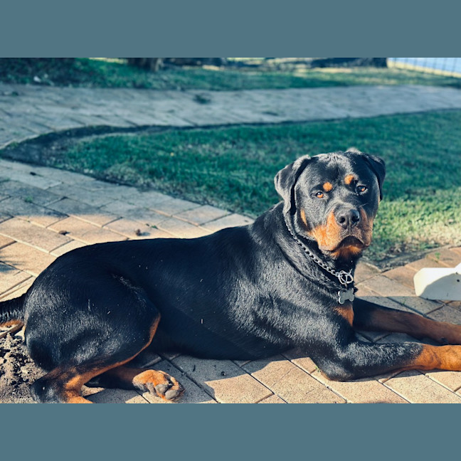 Photo of Murphy