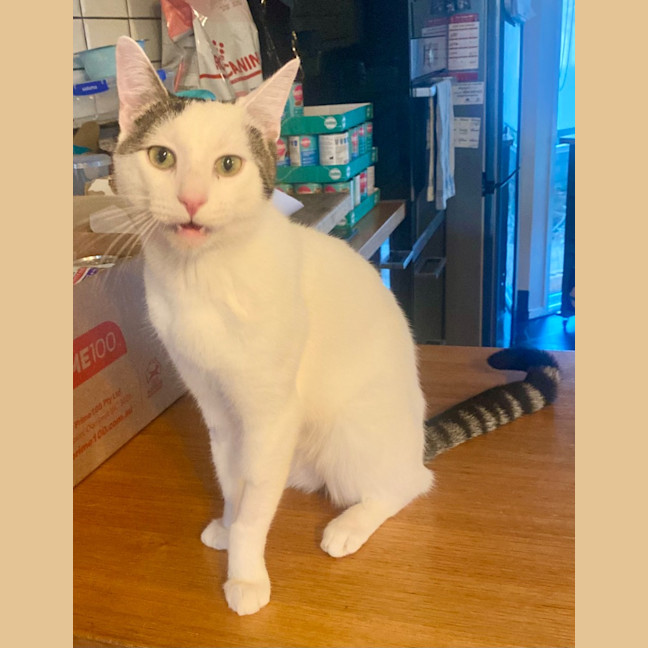 Photo of Stellar Slinky