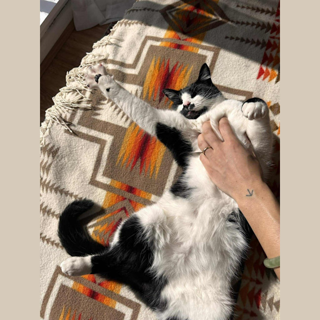 Photo of Douglas    In Foster Care In Thornbury