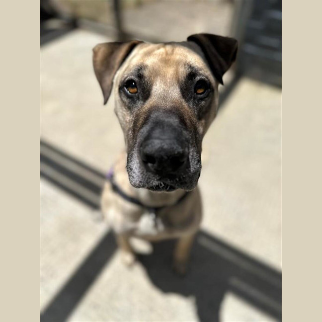 Photo of Marty
