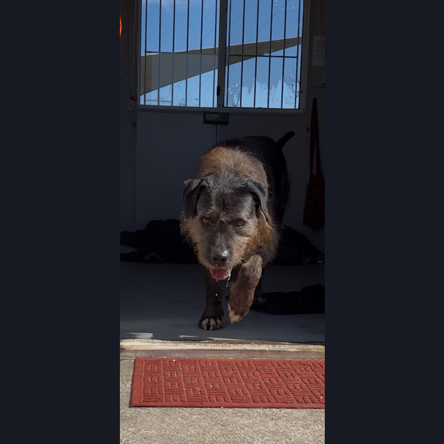 Photo of Duke