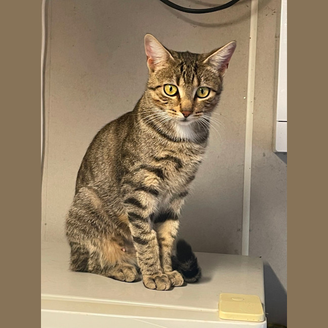 Photo of Polly