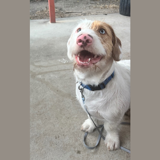 Photo of Zig
