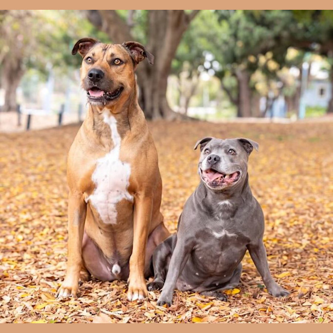 Photo of Lily And Tazi